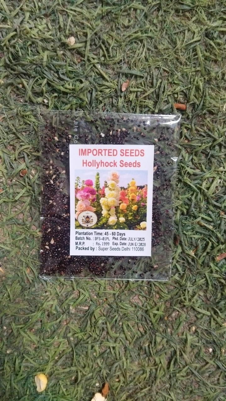 Hollyhock Plant Seeds